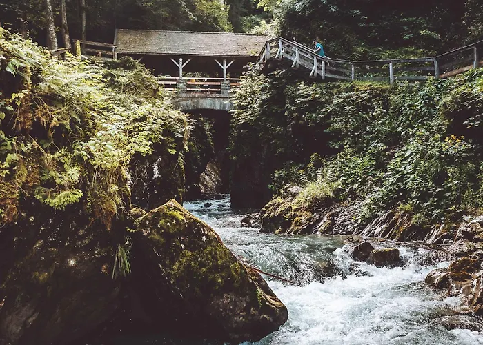 Premium Evi 3* 카프룬